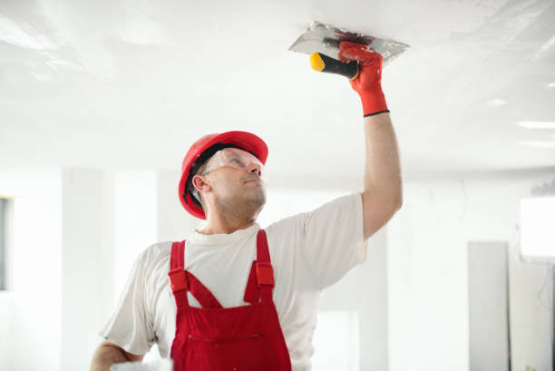 Best Drywall Sanding and Smoothing  in Harristown, IL